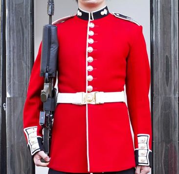 Make way for the Queen's Guard!