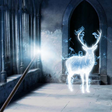 Quer saber tudo sobre Harry Potter e o mundo de J. K. Rowling?